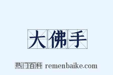 大佛手是什么意思的图片